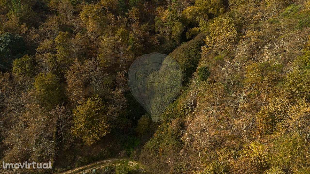 Terreno  para venda - Grande imagem: 2/13