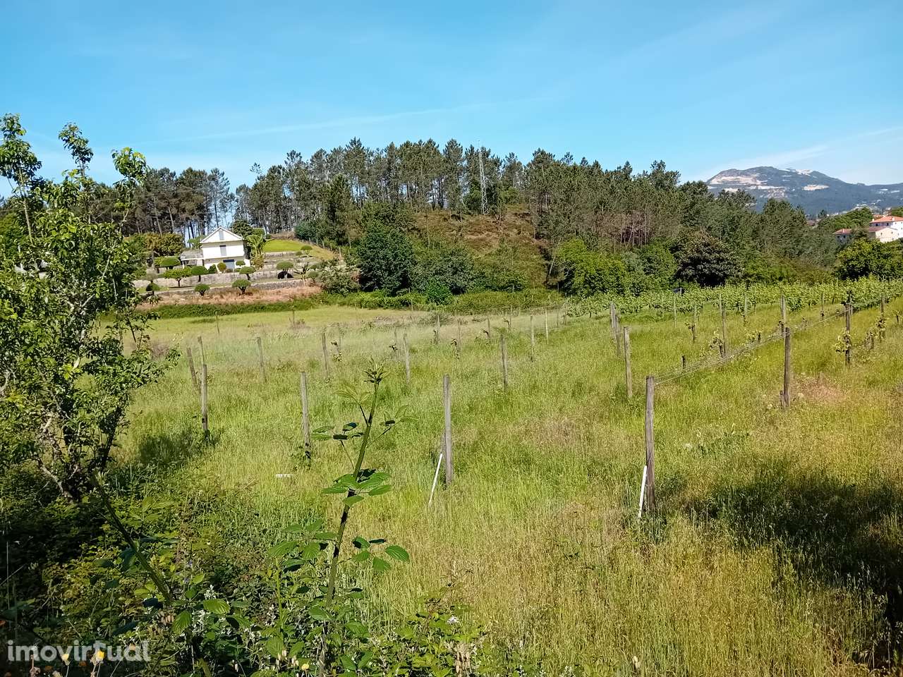 Terreno, 800 m², Arca e Ponte de Lima - Grande imagem: 2/5
