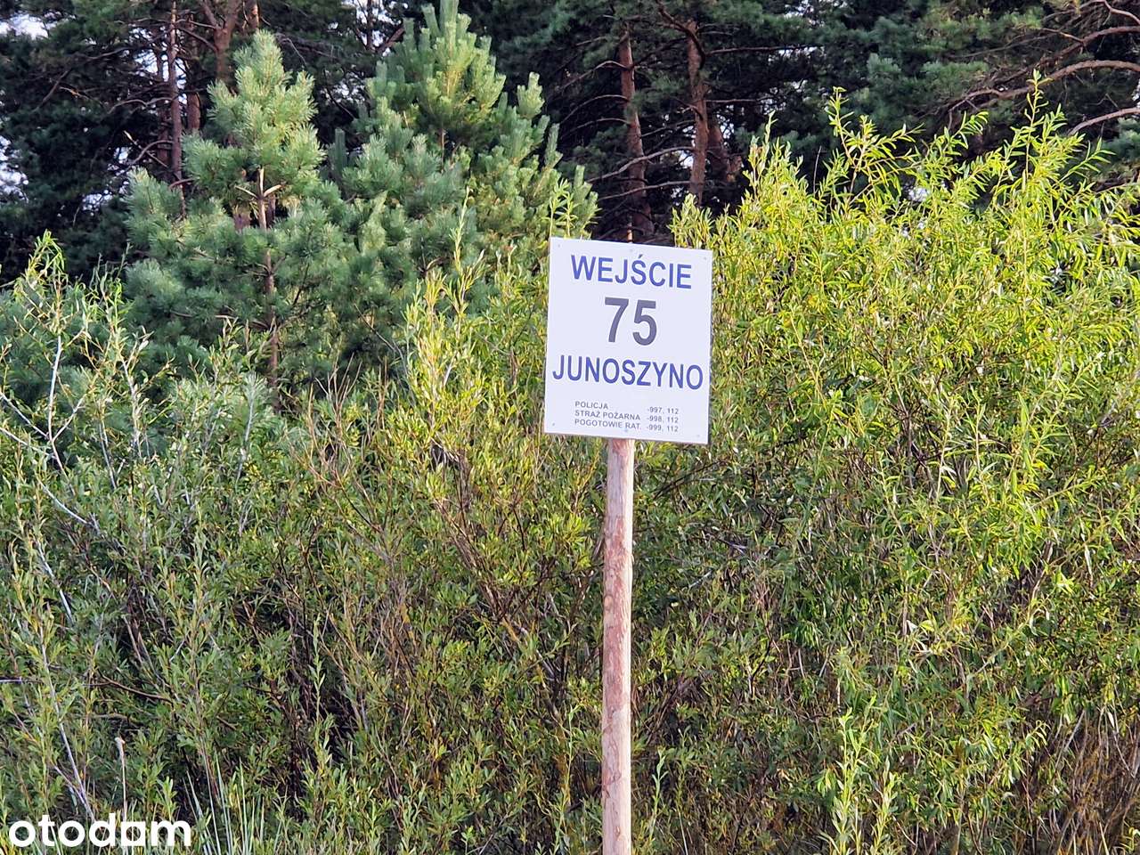 Działka, 782 m², Junoszyno - Pełny obrazek: 4/8