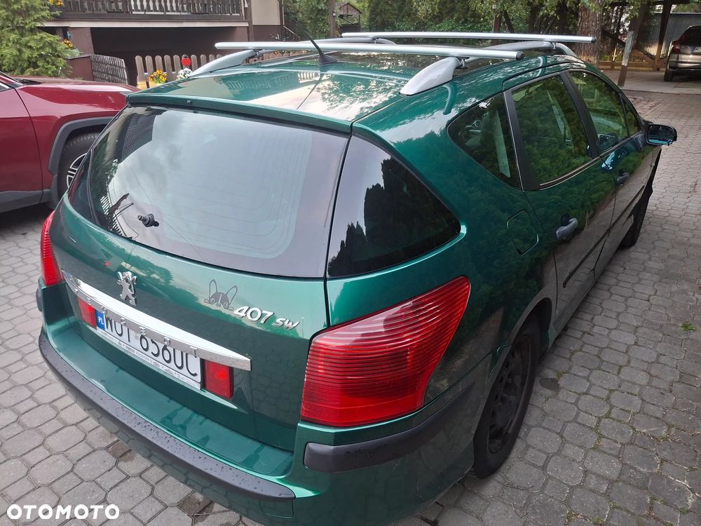 Peugeot 407 115 - 6