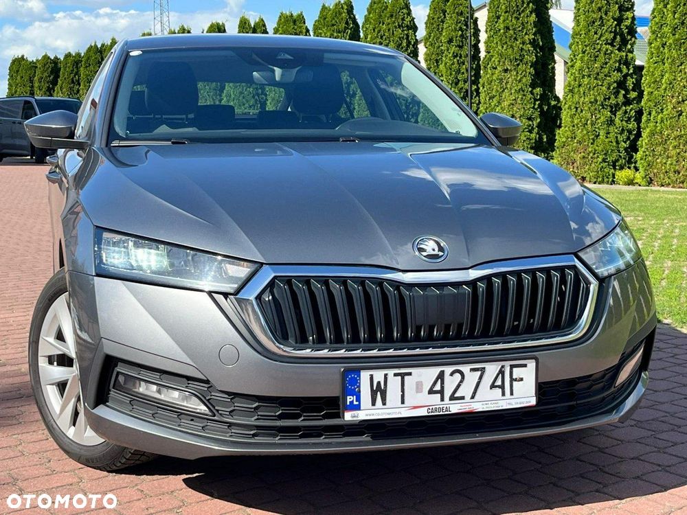 Skoda Octavia - 33