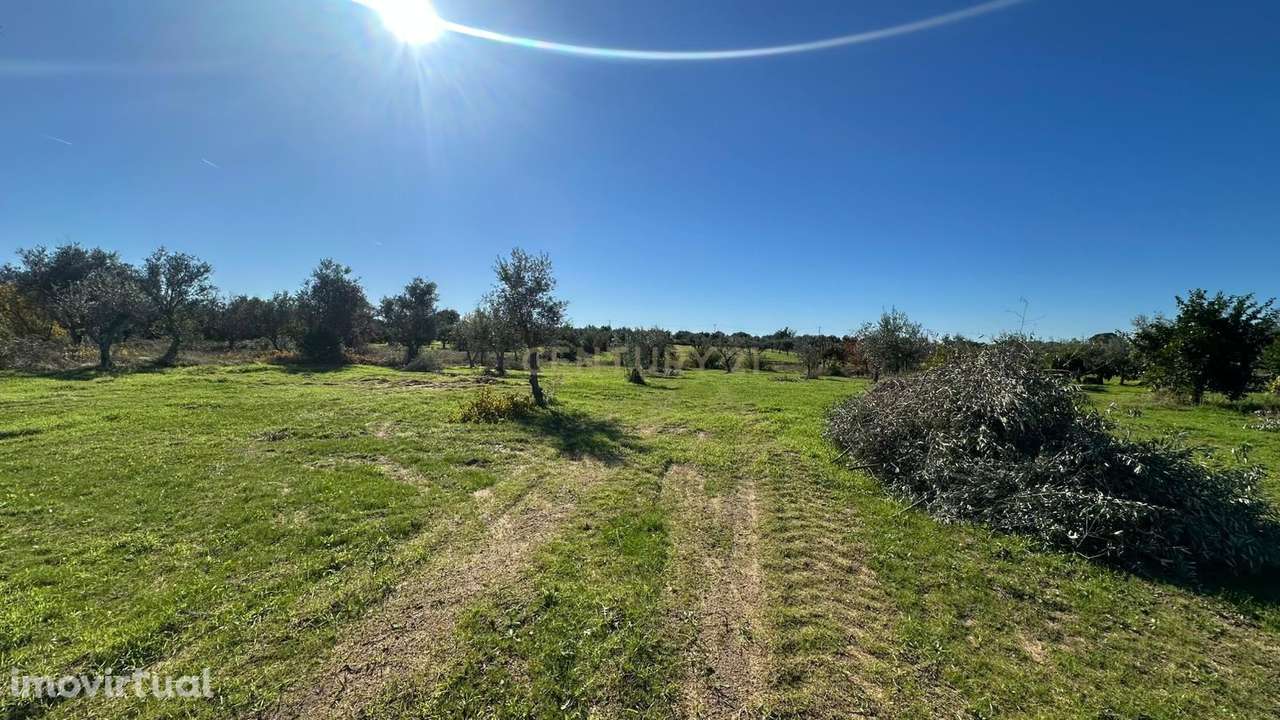 Terreno Rústico em Ladoeiro, Idanha a Nova - 48.000€ - Grande imagem: 4/16