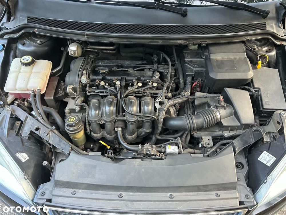 Ford Focus 1.6 Ghia - 9