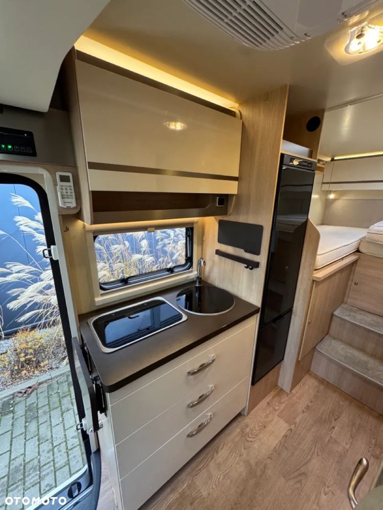 Giottiline Sienna 385 - 19