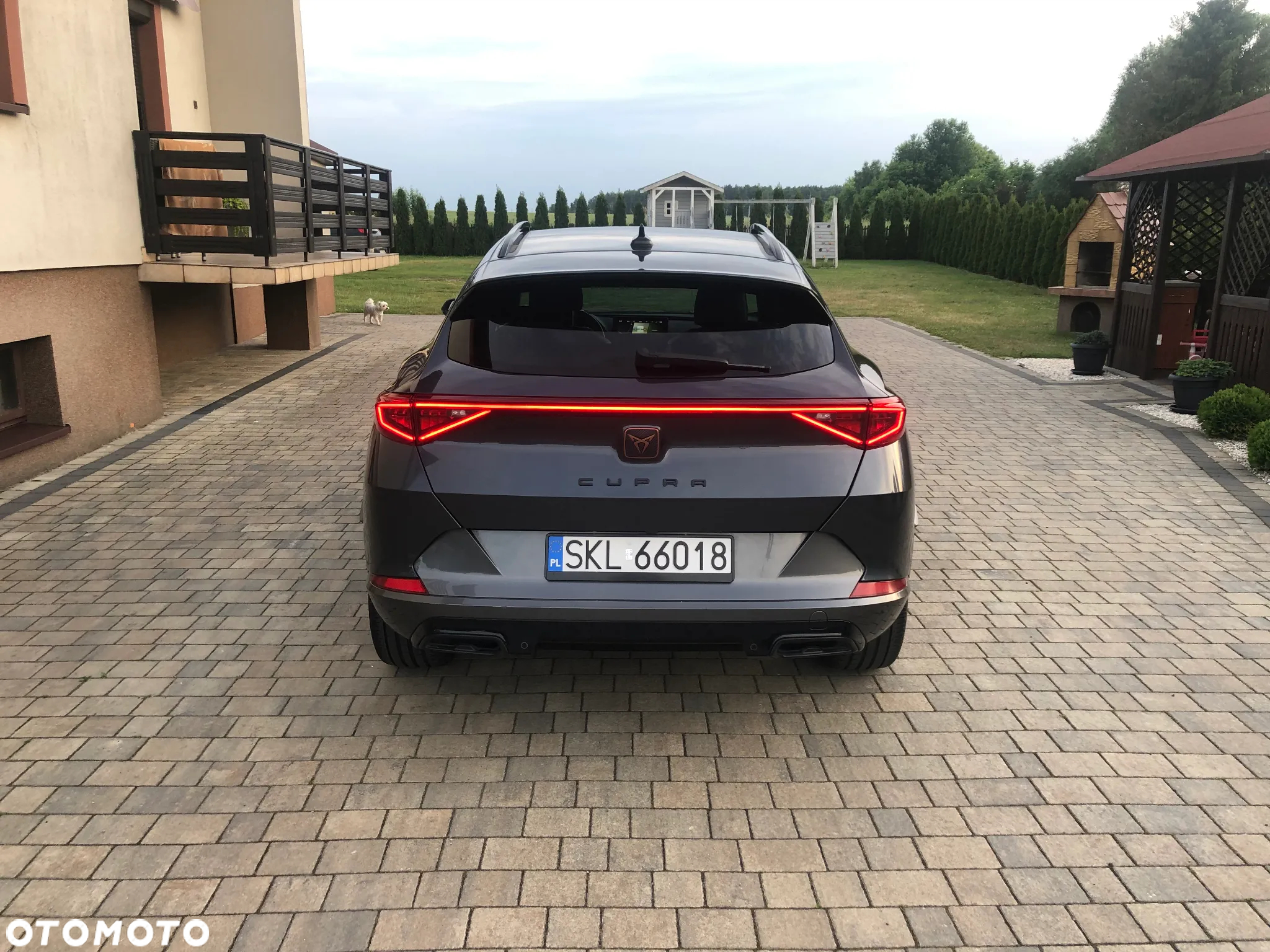Cupra Formentor 1.5 TSI - 5