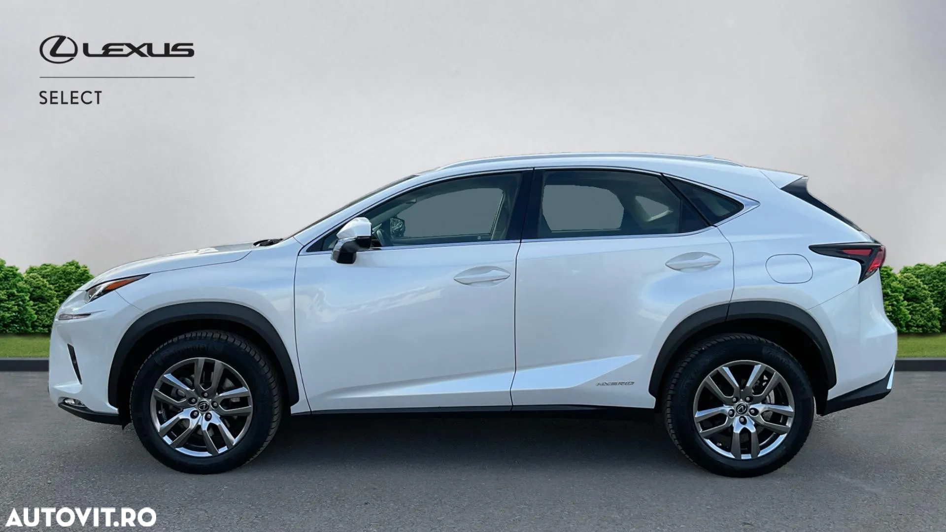 Lexus Seria NX 300h AWD Executive Plus - 5