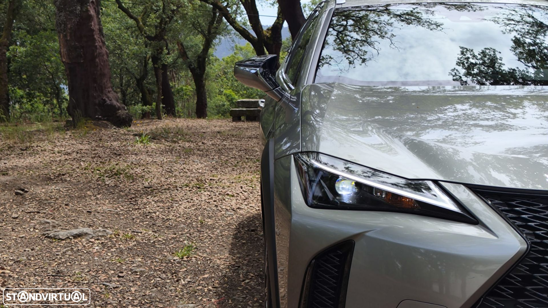 Lexus ux-250h Sport - 18
