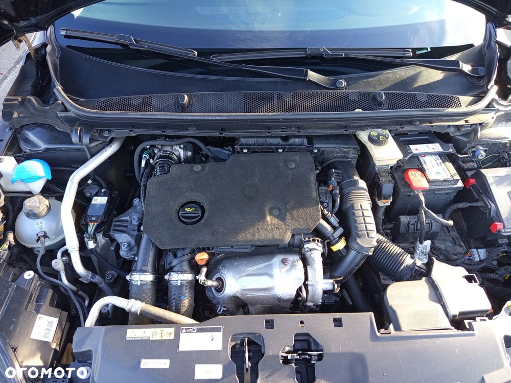 Peugeot 308 1.5 BlueHDi Allure S&S EAT8 - 16
