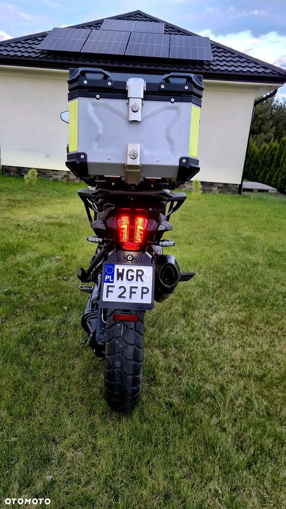 Triumph Tiger - 11