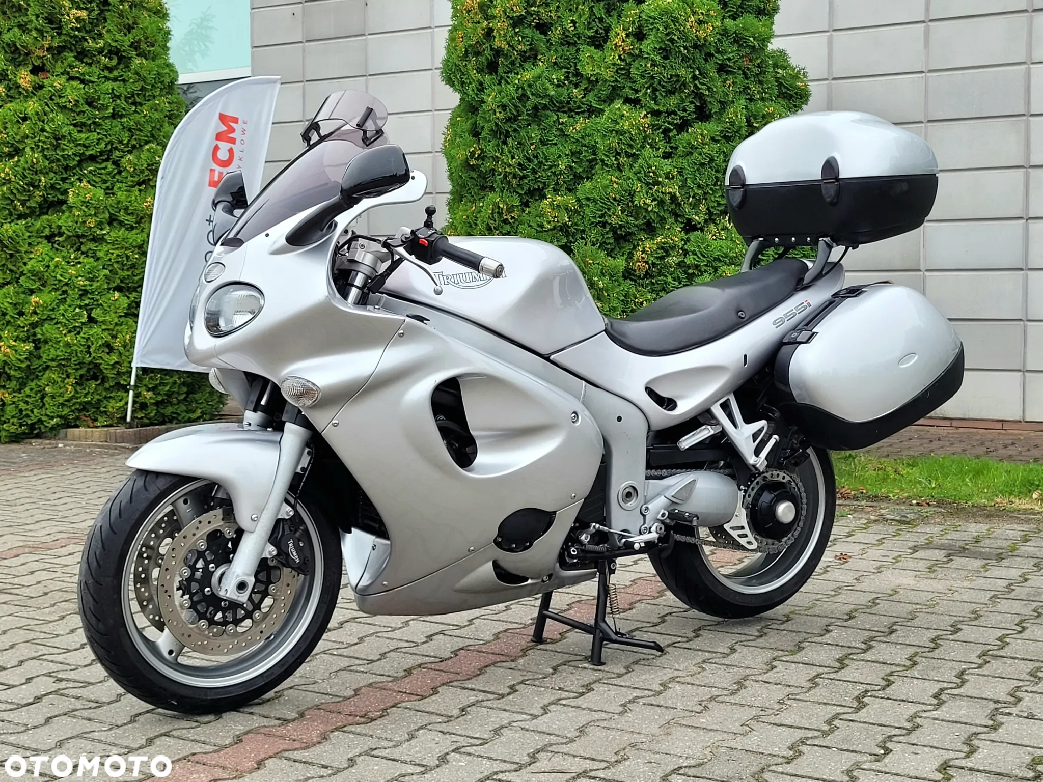 Triumph Sprint - 7