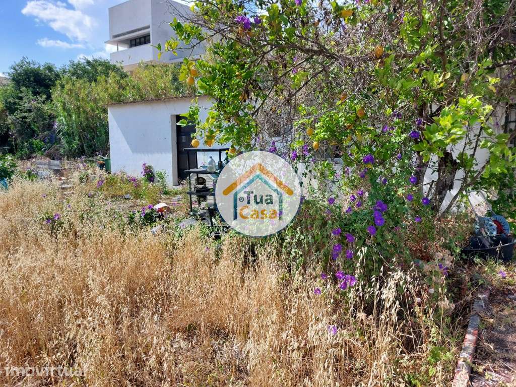 Terreno Rústico com Viabilidade de Construção na Ajuda - Grande imagem: 3/16