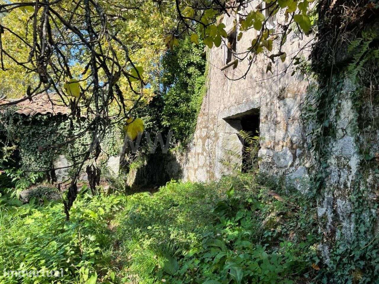 Quinta para restauro em Ribeiros - Fafe - Grande imagem: 2/17
