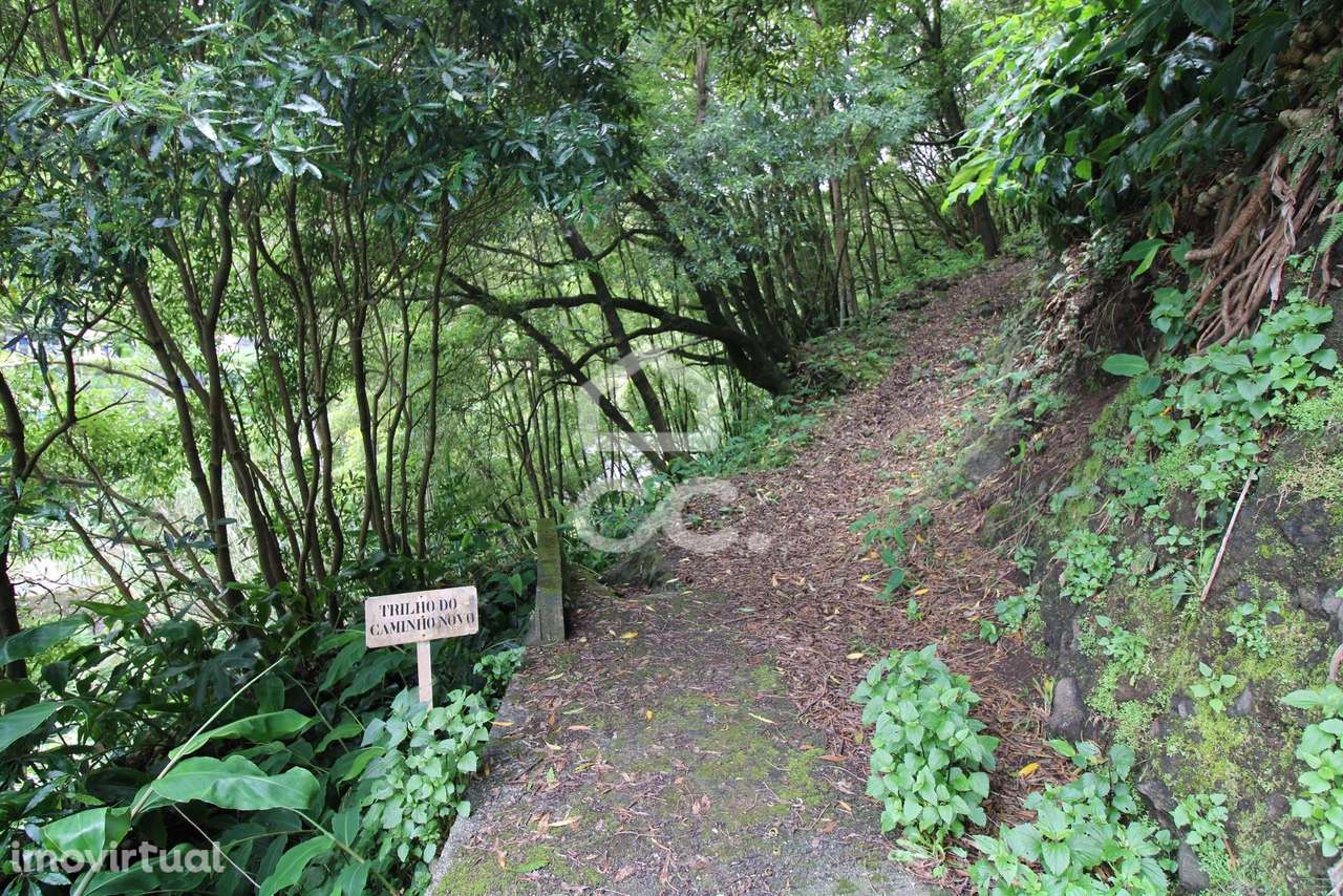 Terreno com 696,00 m2 - Lomba da Fazenda - Nordeste - Grande imagem: 2/8