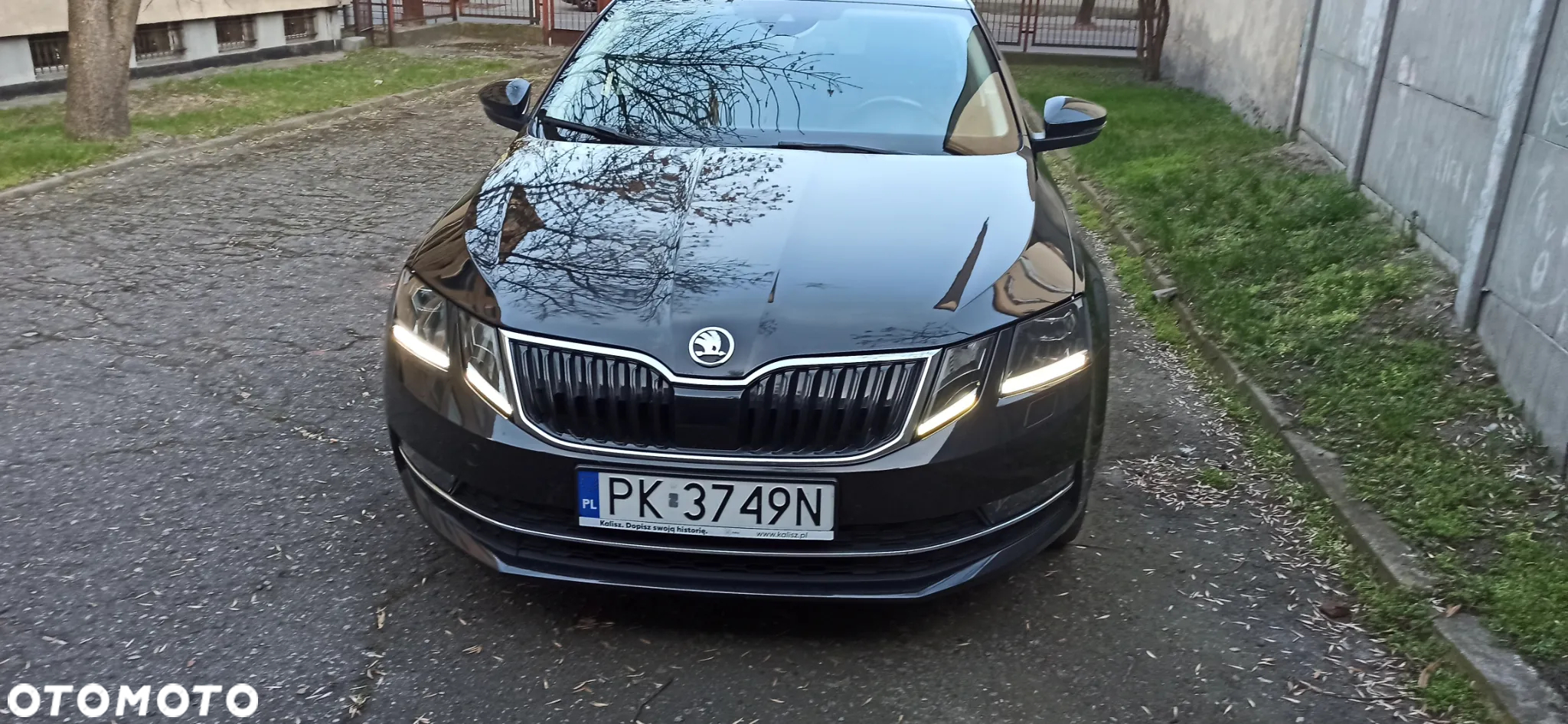 Skoda Octavia - 17