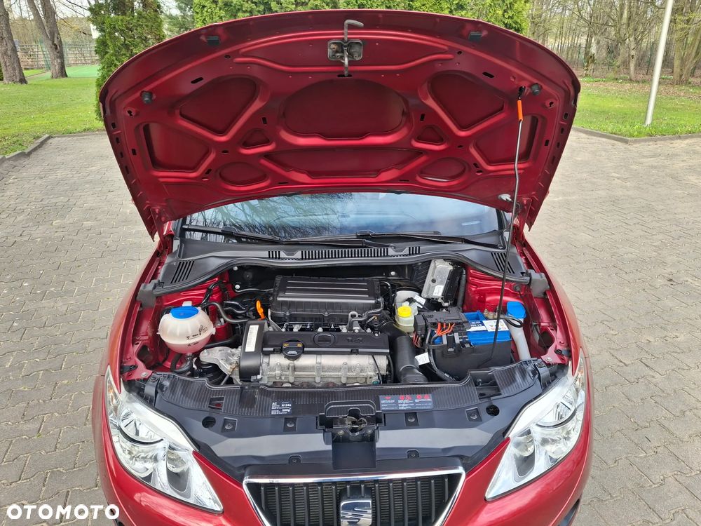 Seat Ibiza - 29