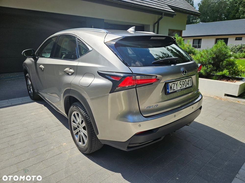Lexus NX 300h Prestige AWD - 19