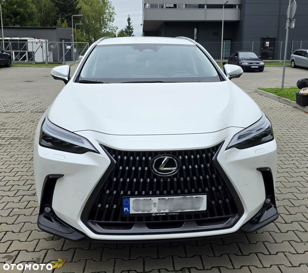 Lexus NX - 6