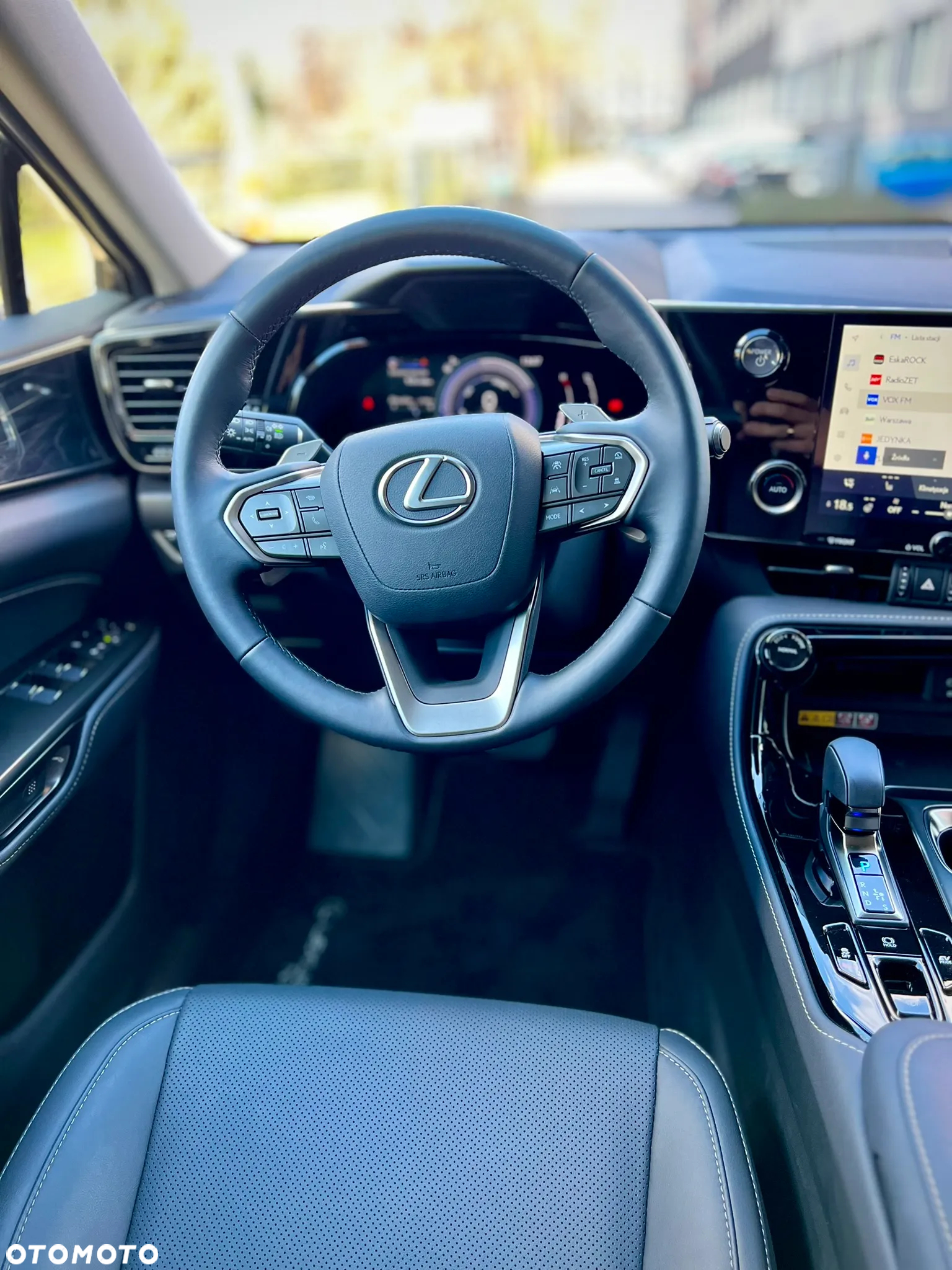 Lexus NX - 11