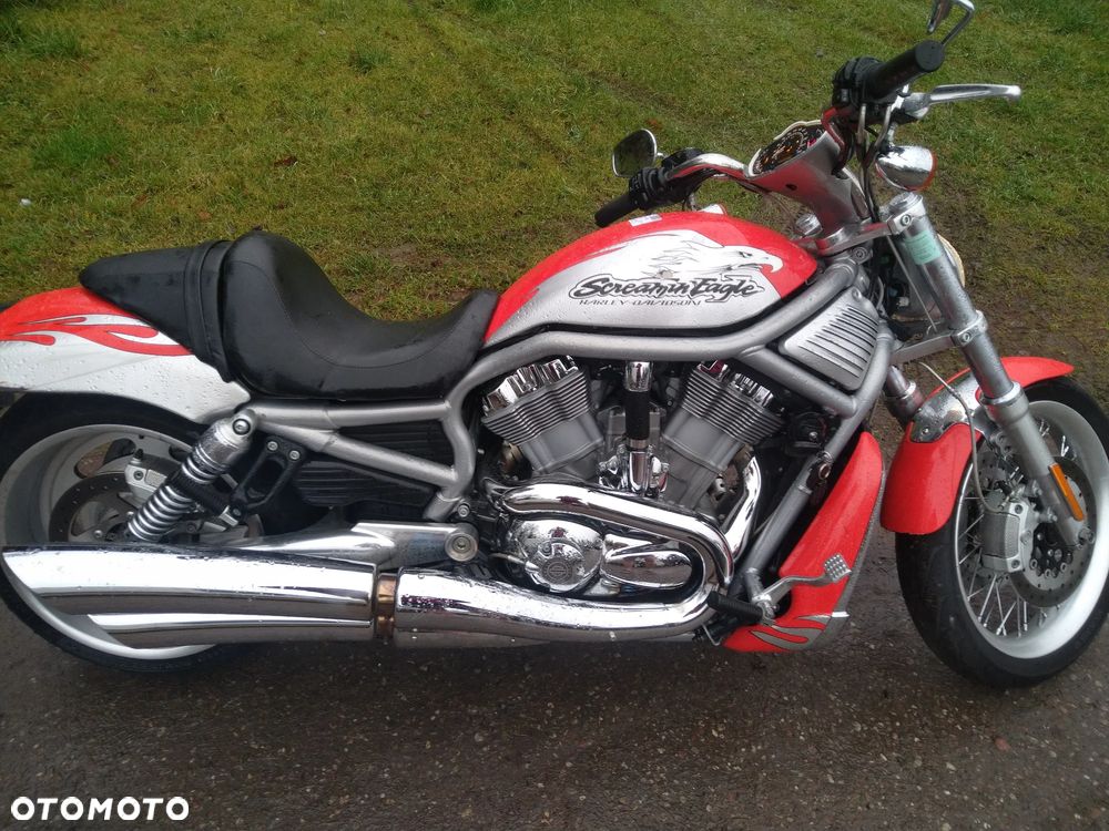 Harley-Davidson Softail V-Rod - 6