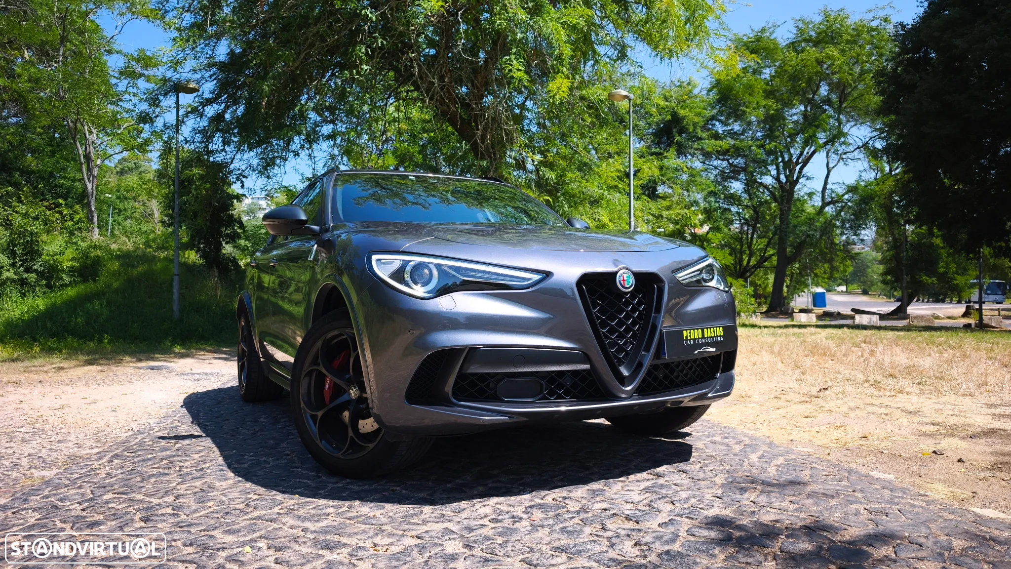 Alfa Romeo Stelvio 2.9 T Quadrifoglio AT8 Q4 - 6