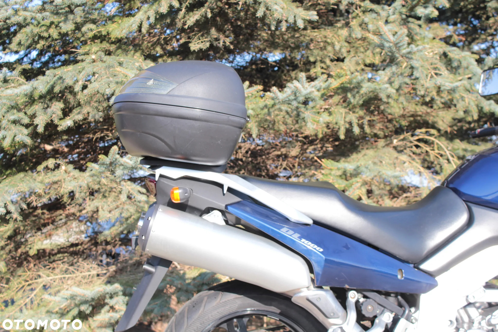 Suzuki DL - 29