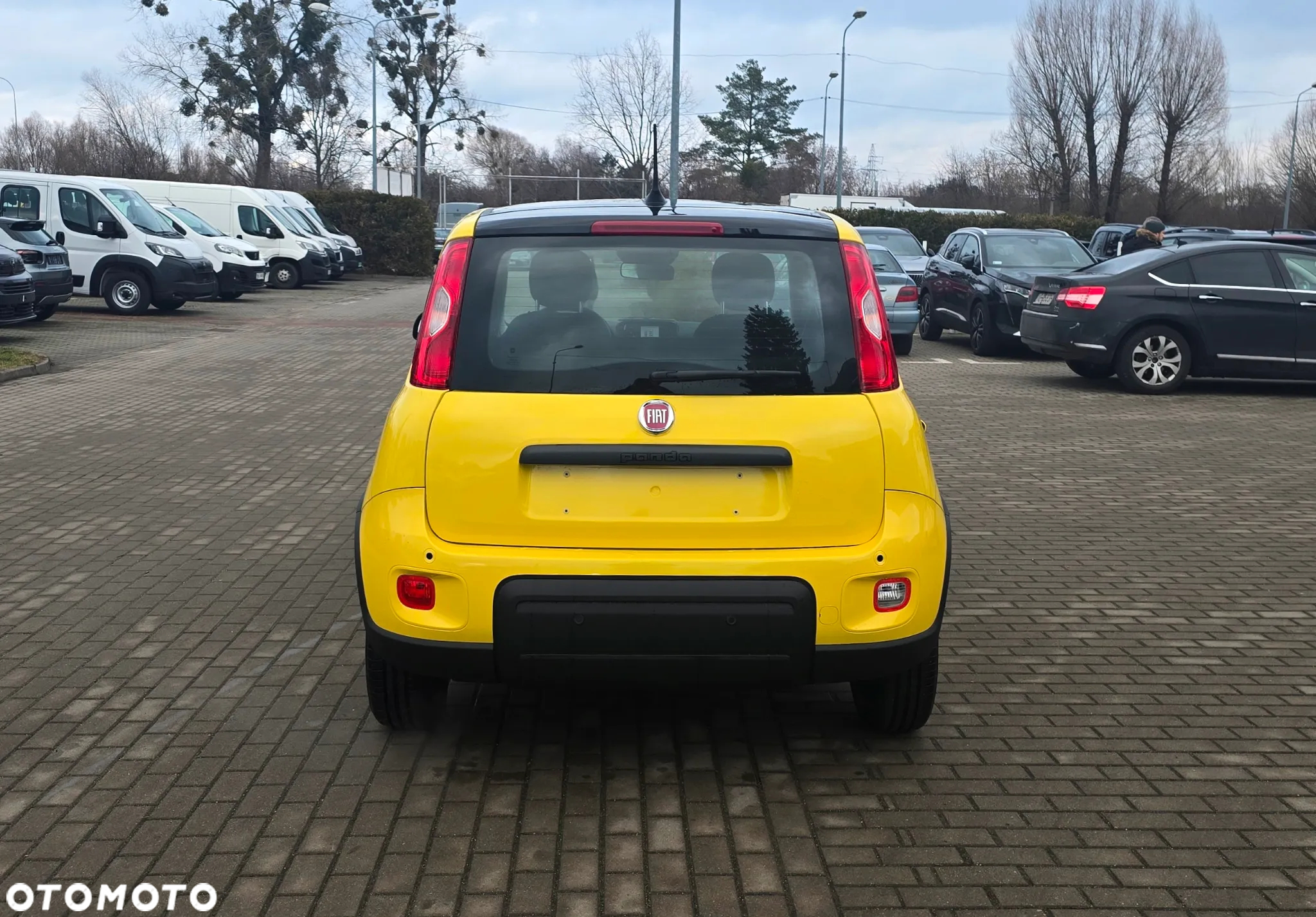Fiat Panda - 4