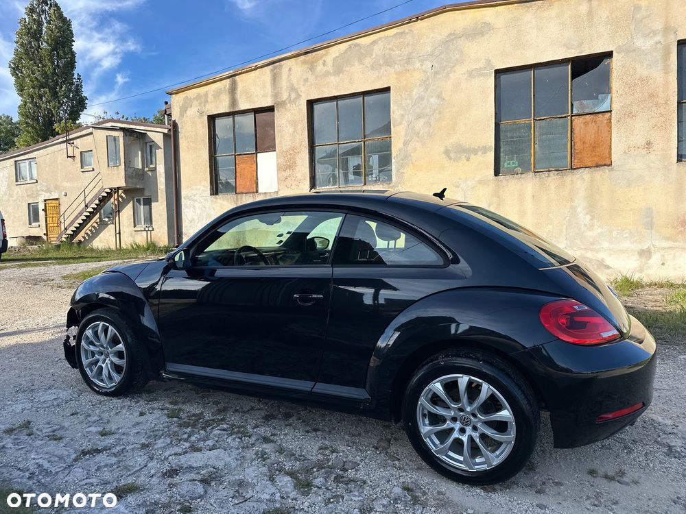 Volkswagen Beetle - 8