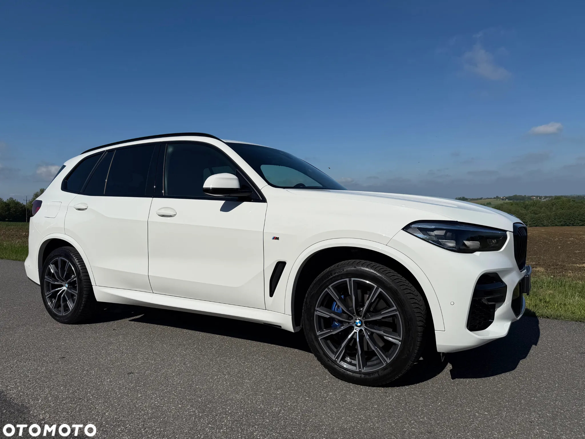 BMW X5 xDrive25d - 10