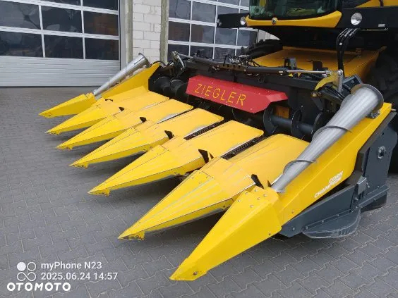 Zanila 6-reiking 75cm - 4
