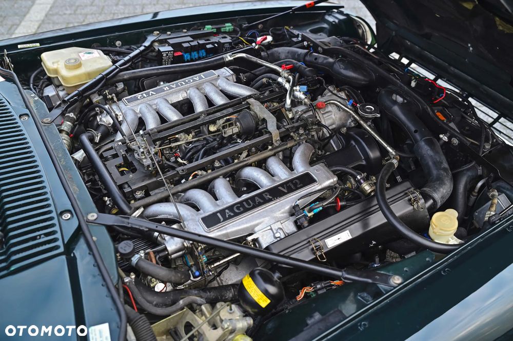 Jaguar XJS - 21
