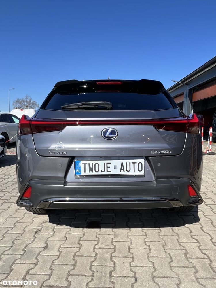 Lexus UX 250h F SPORT - 6