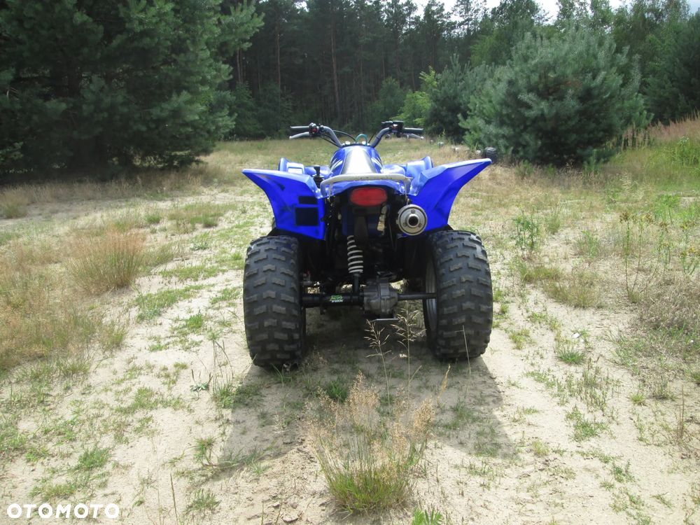 Yamaha Wolverine - 5