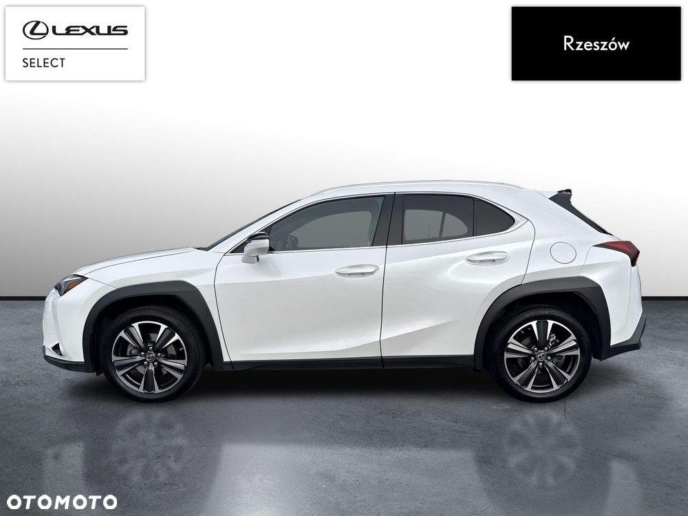 Lexus UX 250h GPF Business 2WD - 2