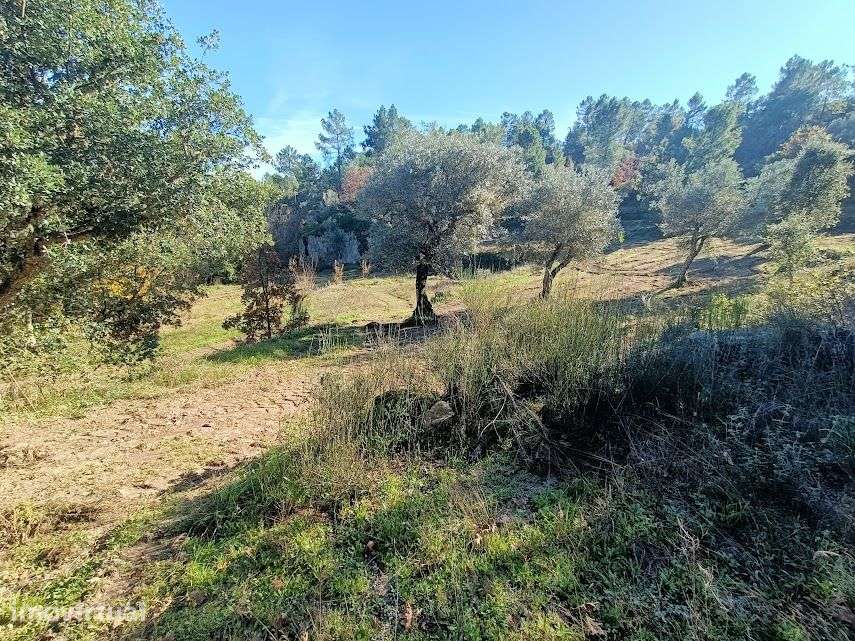 Quinta com 46.000 m2 junto ao Rio Calvo, em Valpaços, ideal p/ turismo - Grande imagem: 5/21
