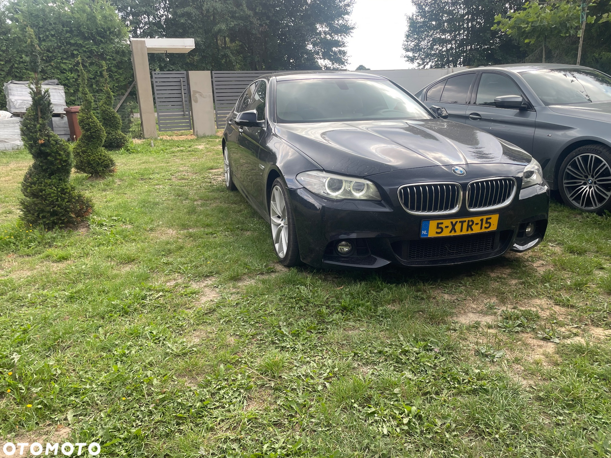 BMW Seria 5 520i Sport-Aut - 7