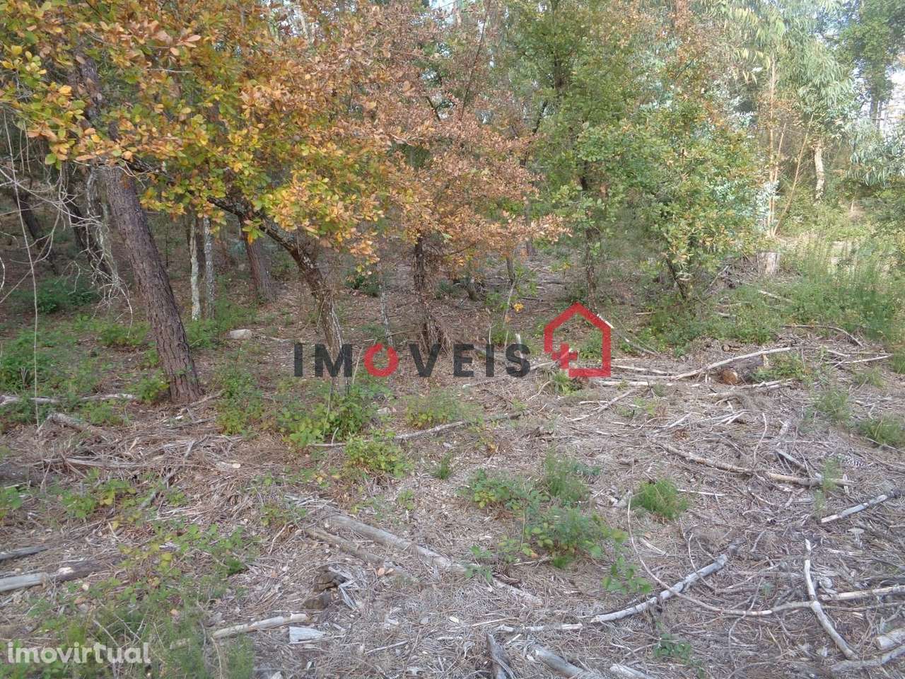 Terreno para Construção - Grande imagem: 4/5