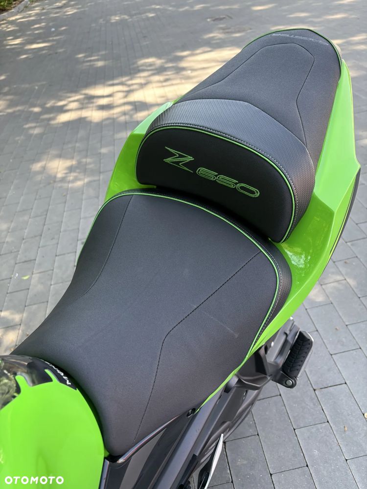 Kawasaki Ninja - 8