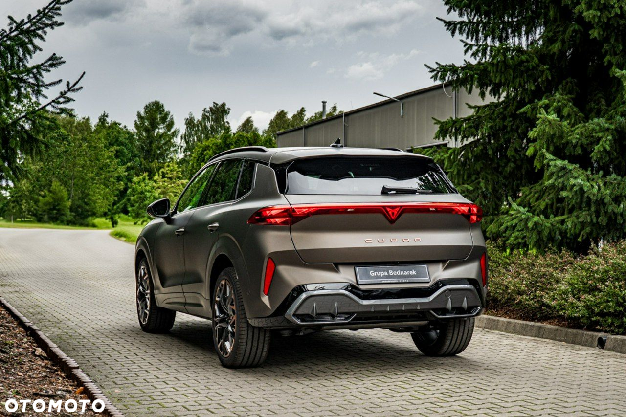 Cupra Terramar - 18