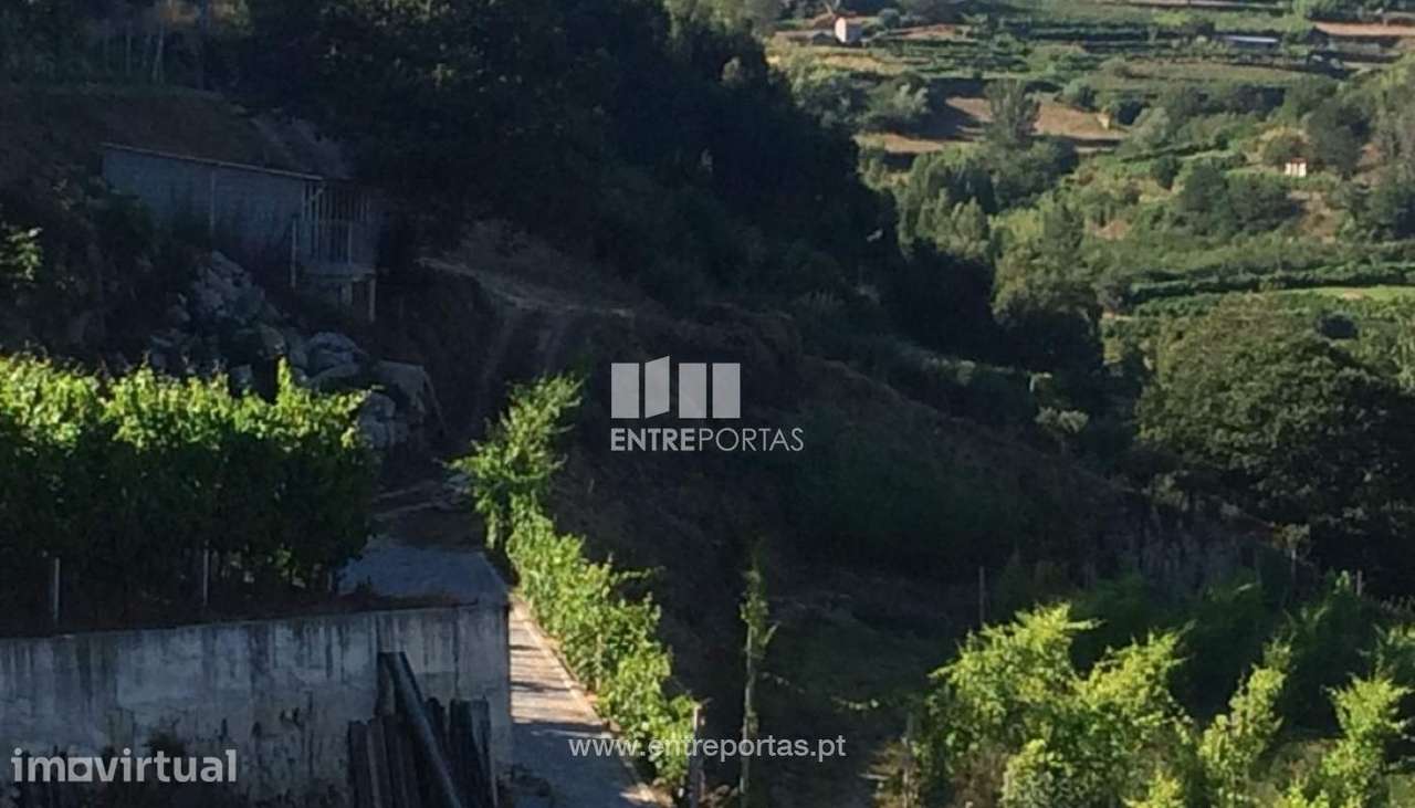 Venda Terreno, Santa Marinha do Zêzere, Baião - Grande imagem: 4/22