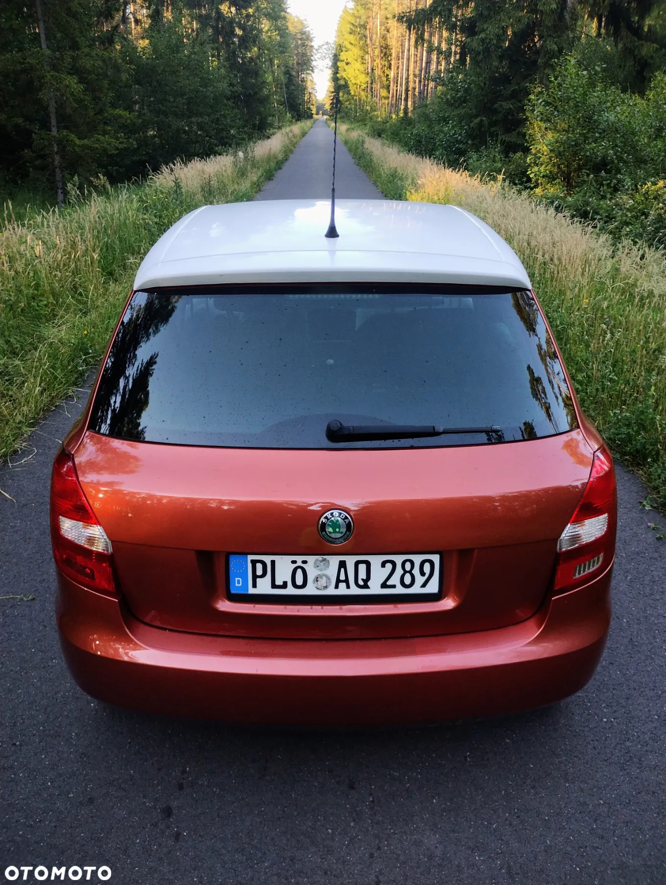 Skoda Fabia - 15
