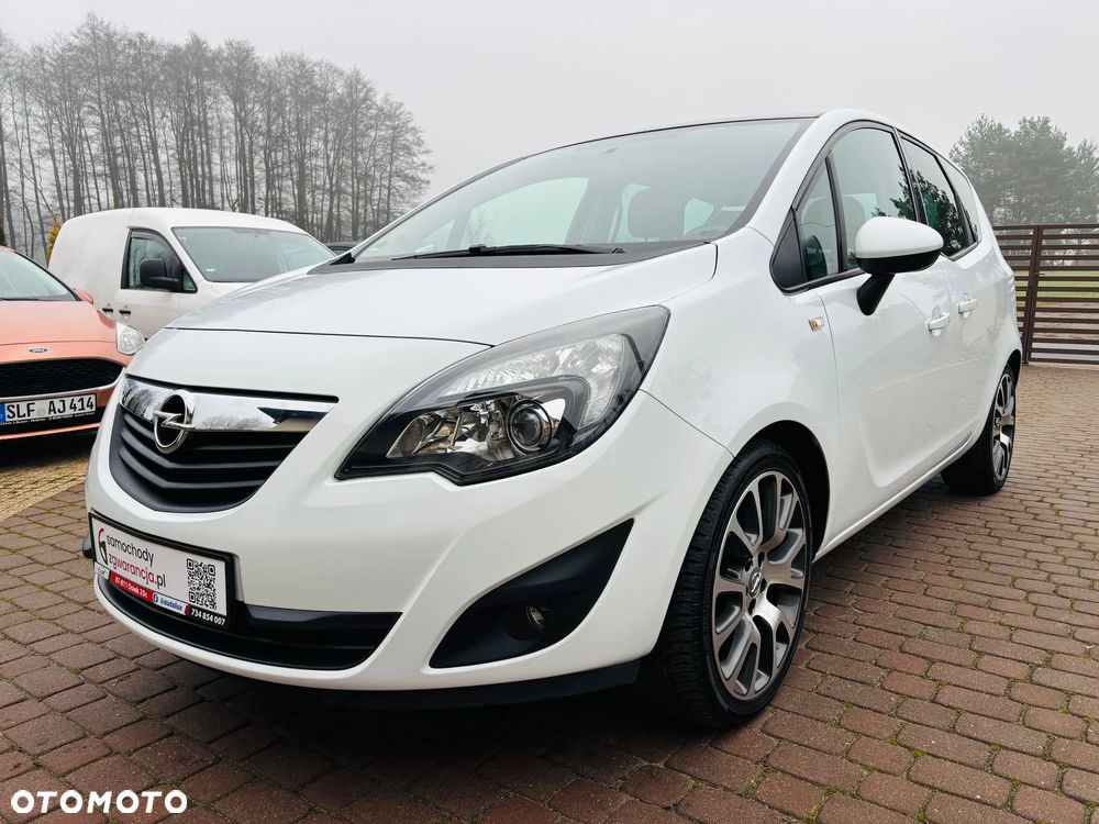 Opel Meriva 1.4 Ecoflex Color Edition - 20