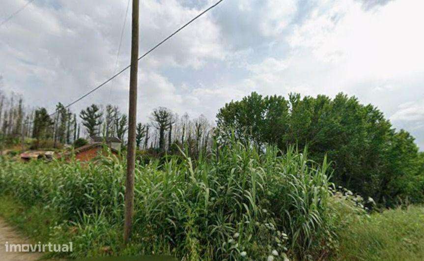Terreno em Angeja, Albergaria a Velha - Grande imagem: 3/8