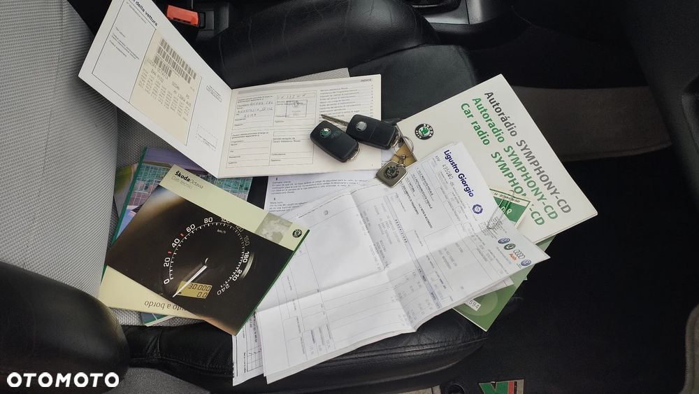 Skoda Octavia 1.8T RS - 21