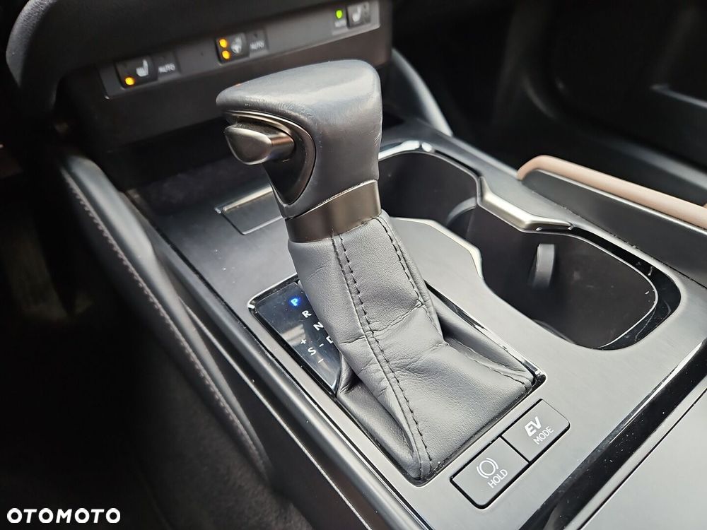 Lexus ES 300h F Sport Design - 17