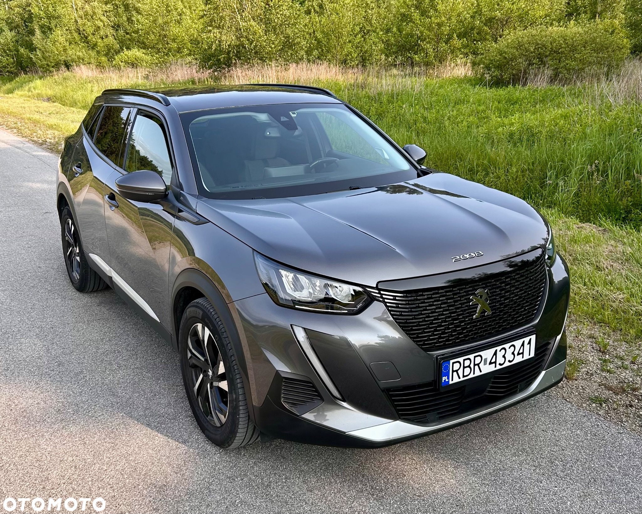 Peugeot 2008 - 25