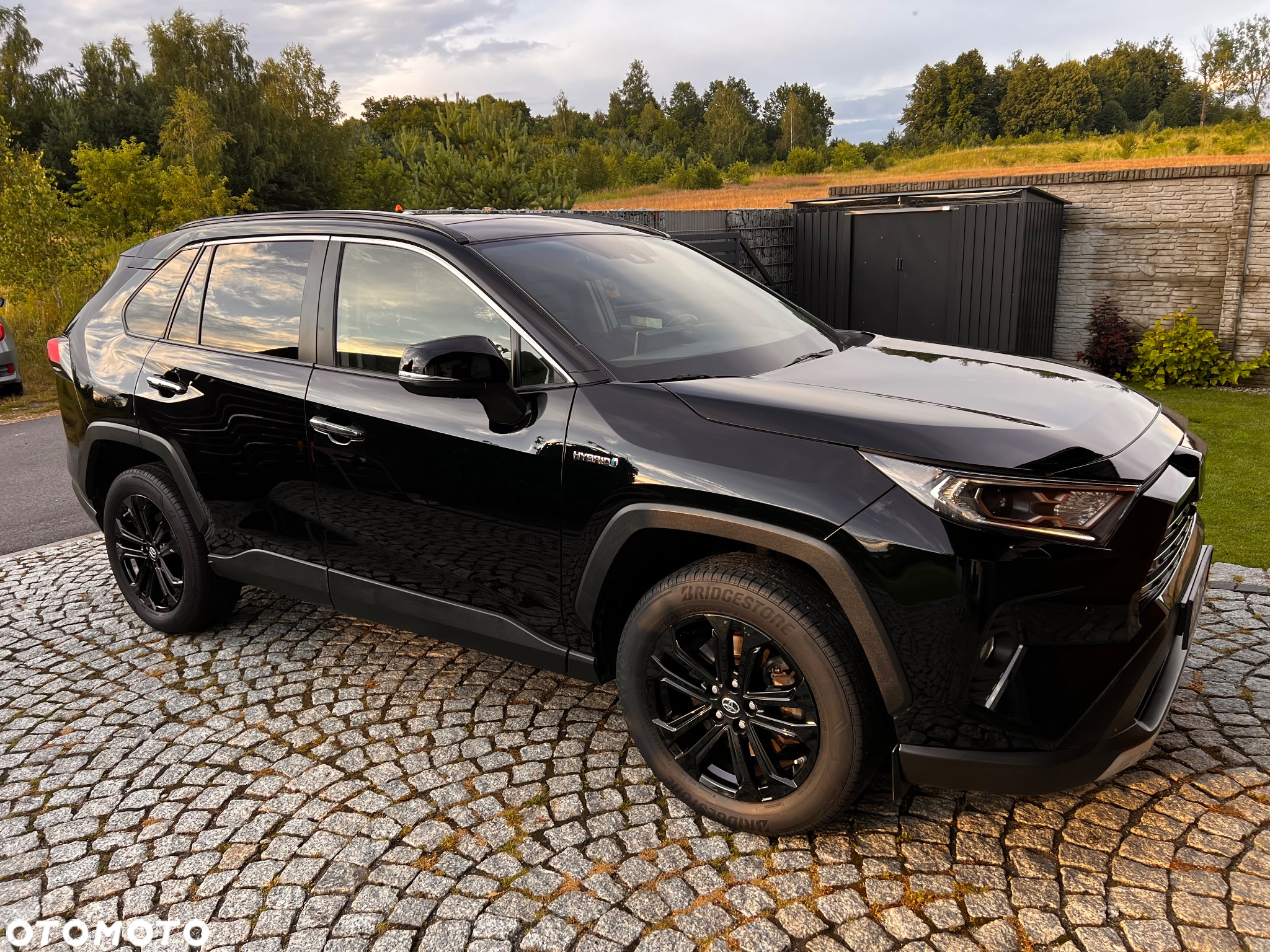 Toyota RAV4 2.5 Hybrid Executive 4x4 - 3