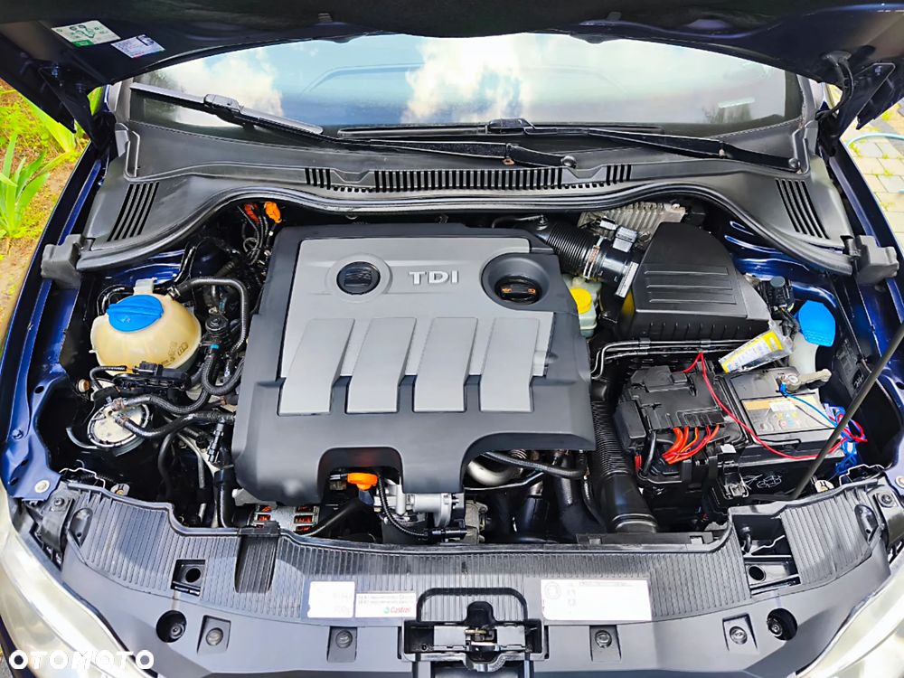 Seat Ibiza - 24