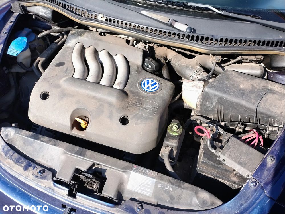 Volkswagen New Beetle - 7