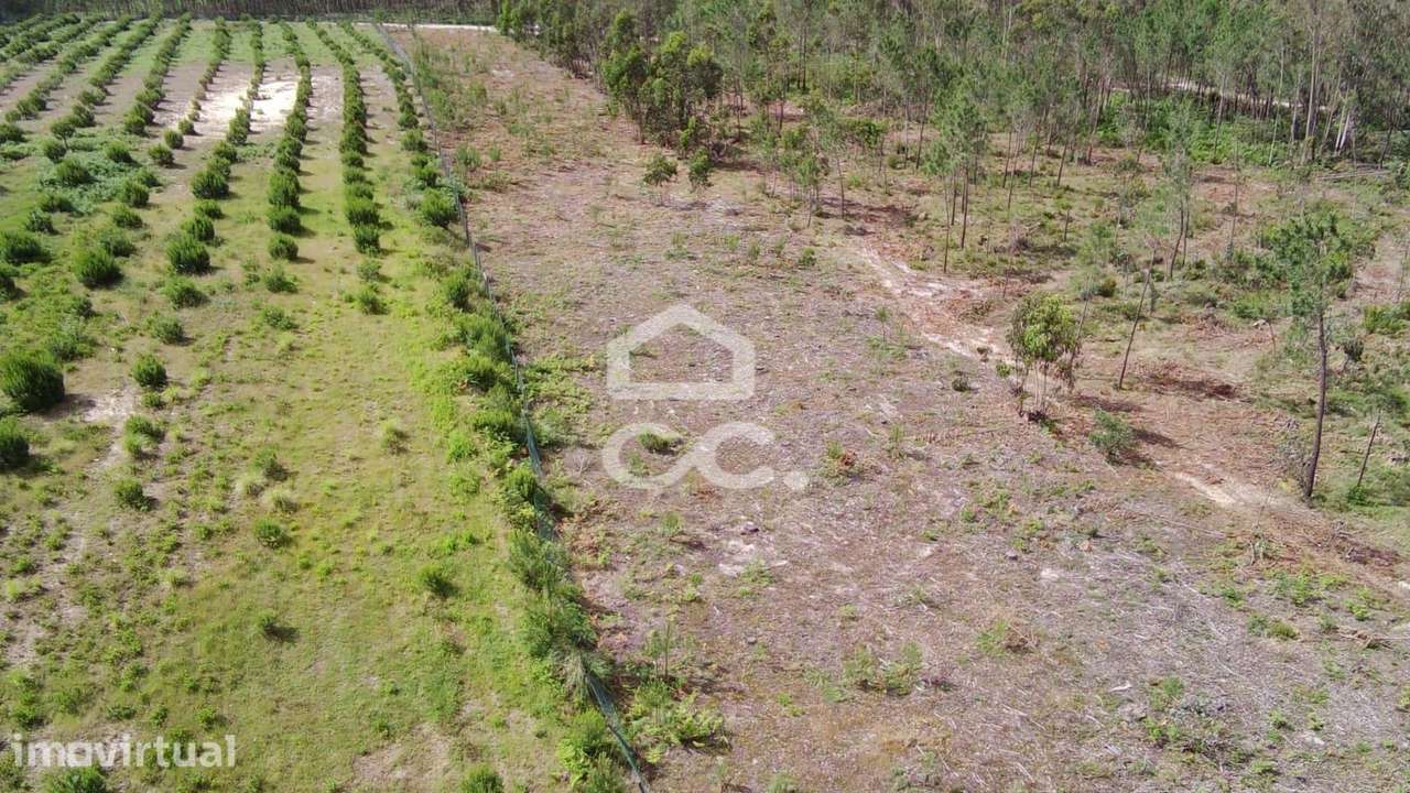 Terreno industrial - Grande imagem: 4/6