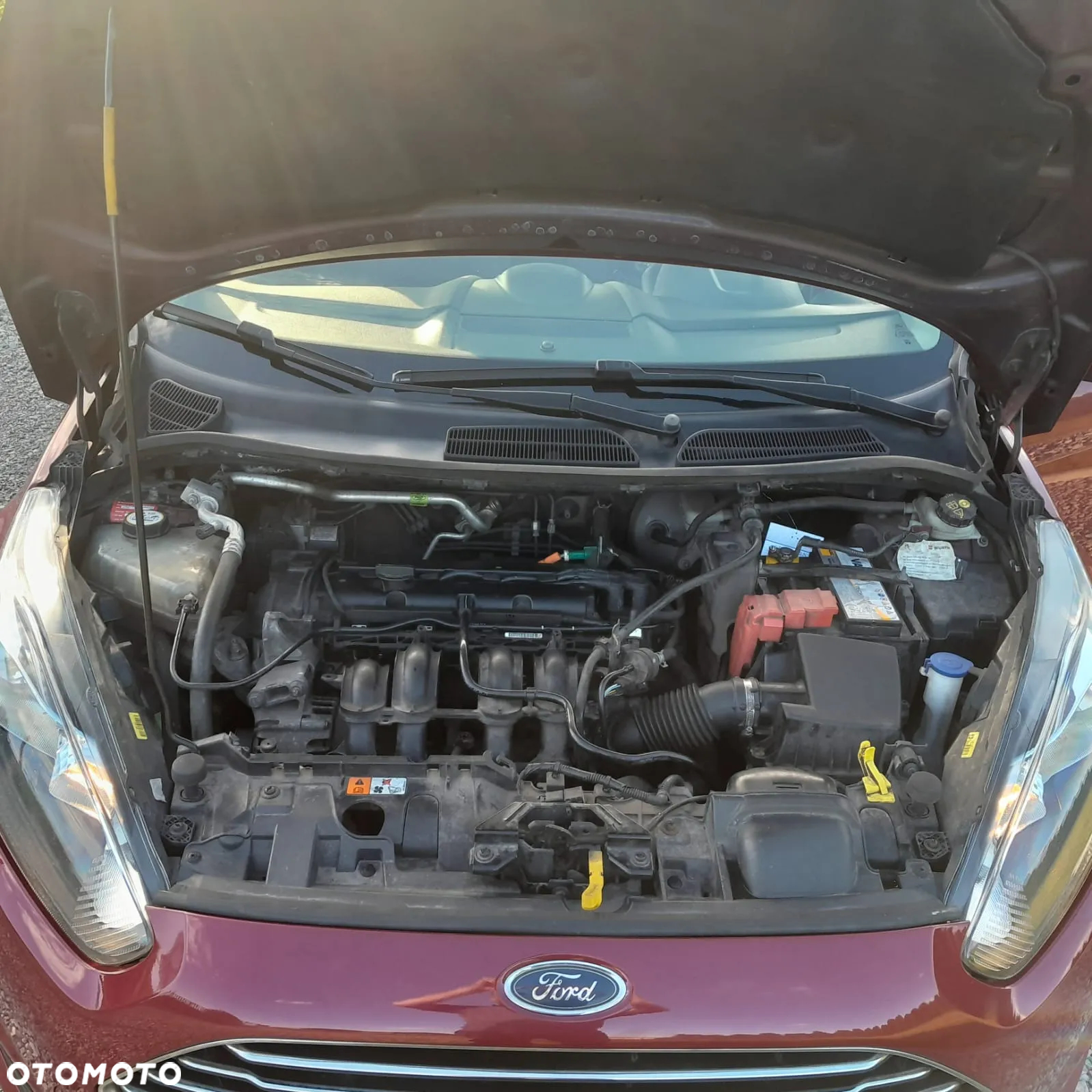 Ford Fiesta - 12